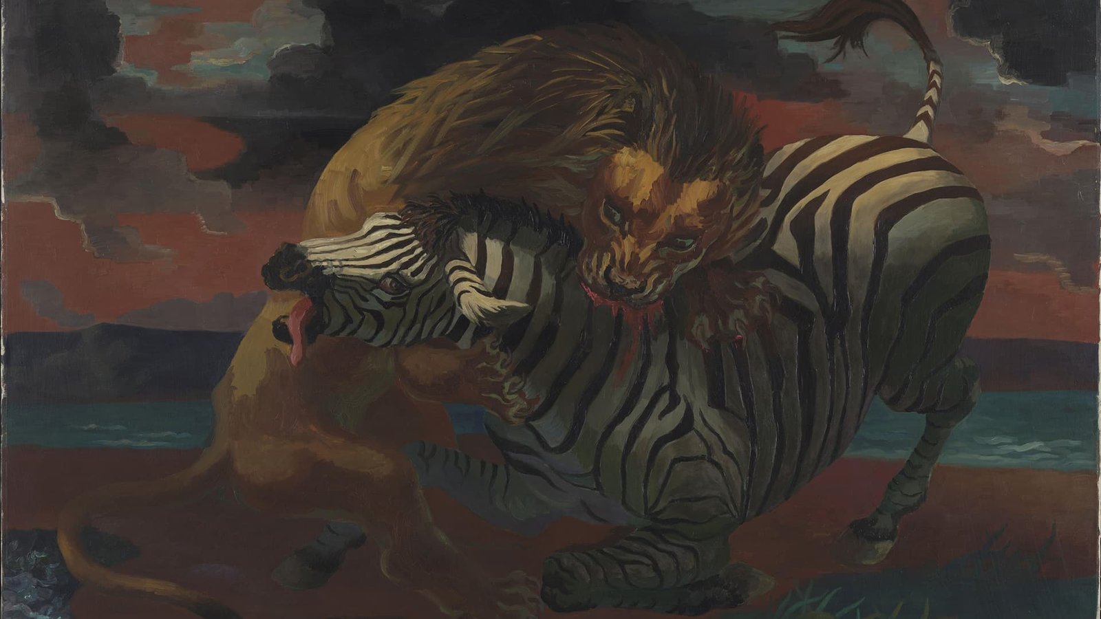 Lion and Zebra – Borchgrevink